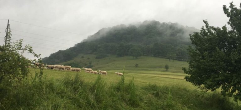 Achalm, Echaz und Co